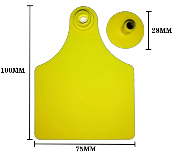 RA-EV30-6 Big Visual Ear Tag